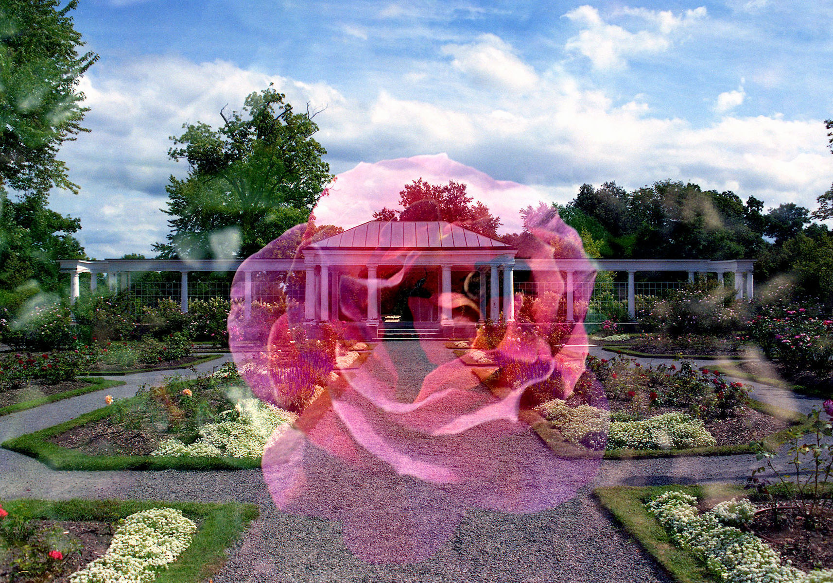 rosegarden